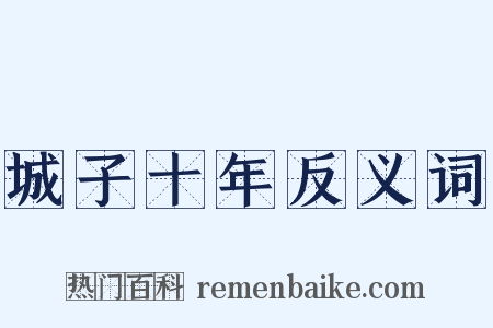 城子十年反义词是什么意思的图片
